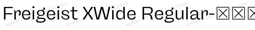 Freigeist XWide Regular字体转换